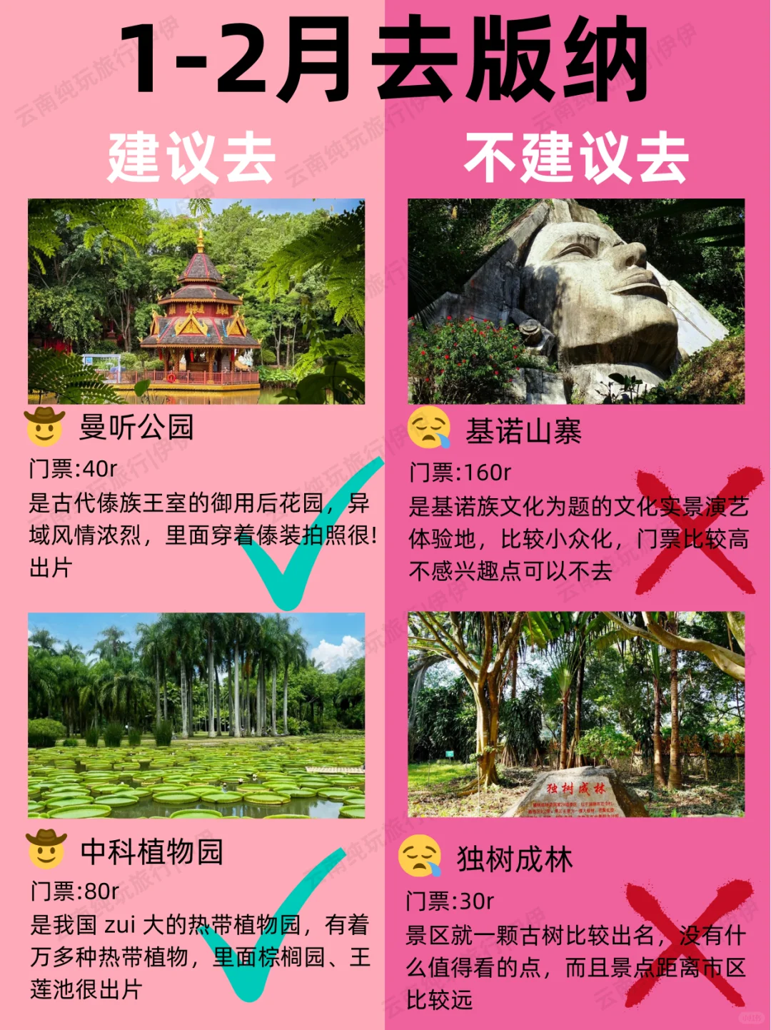版纳1-2月景点红黑榜📍建议去🆚不建议