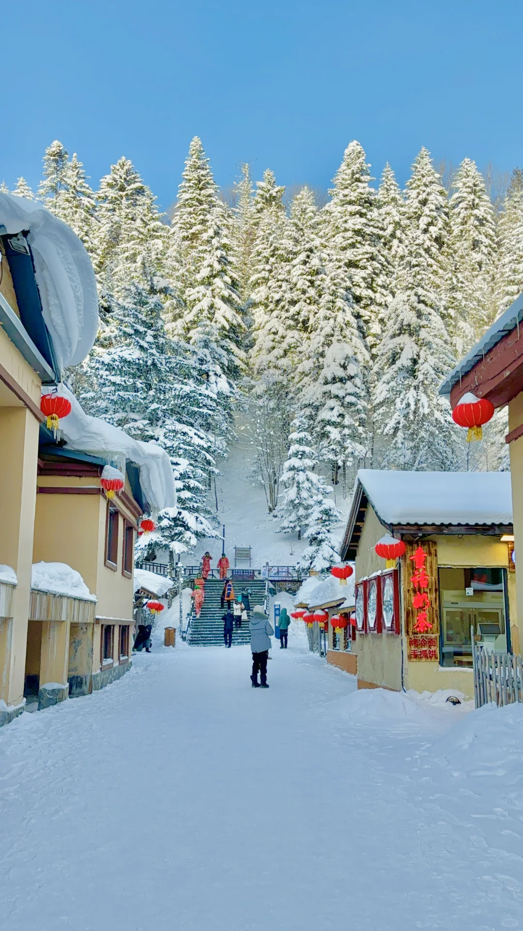 误闯童话世界❄️冬天的长白山是冬日一份情书