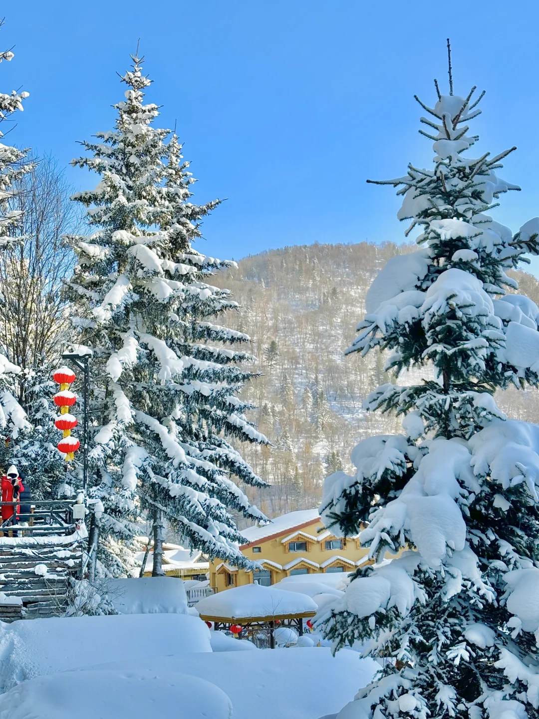 误闯童话世界❄️冬天的长白山是冬日一份情书
