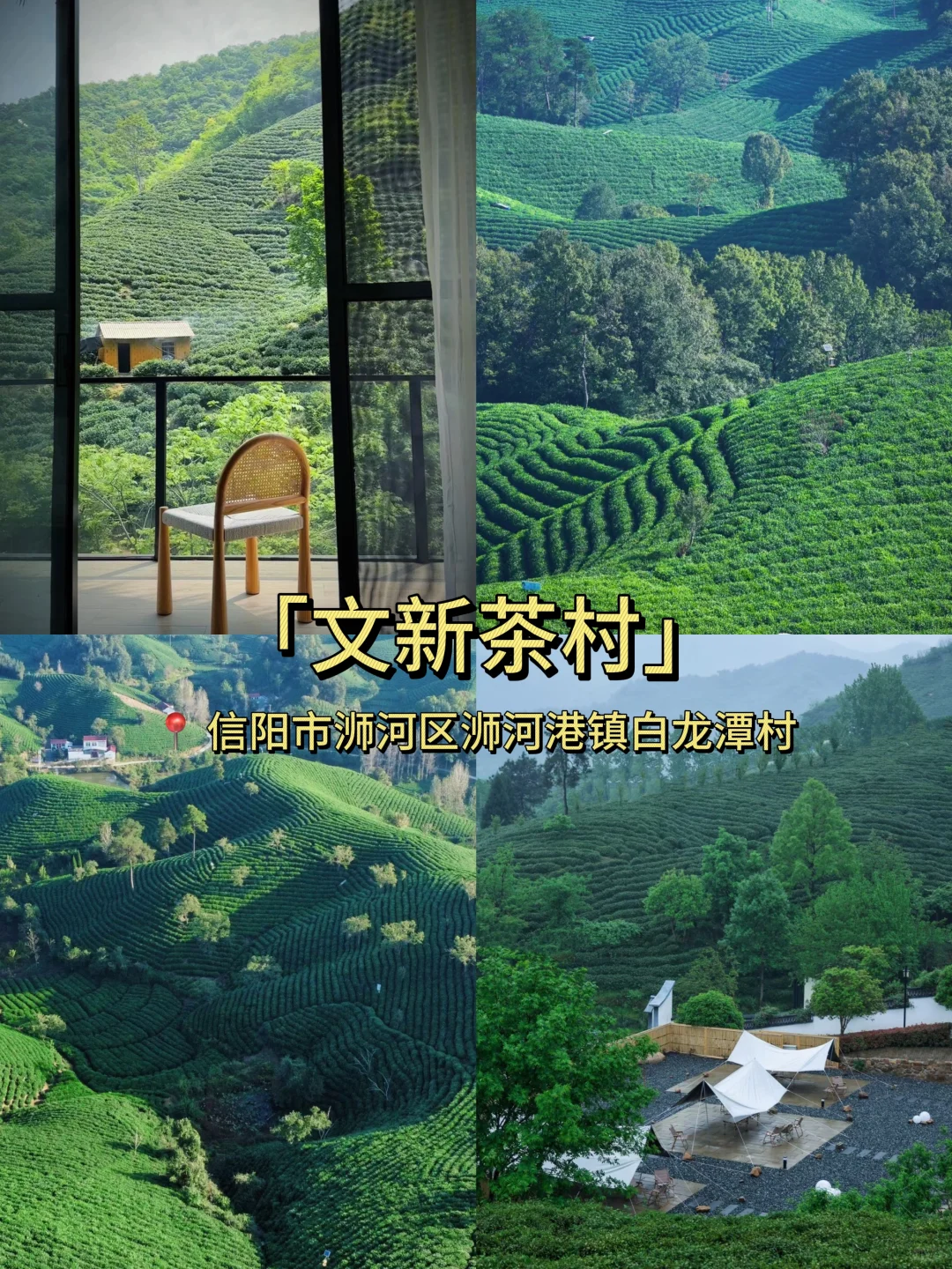 信阳3日游🍃 感受春日的河南版小江南