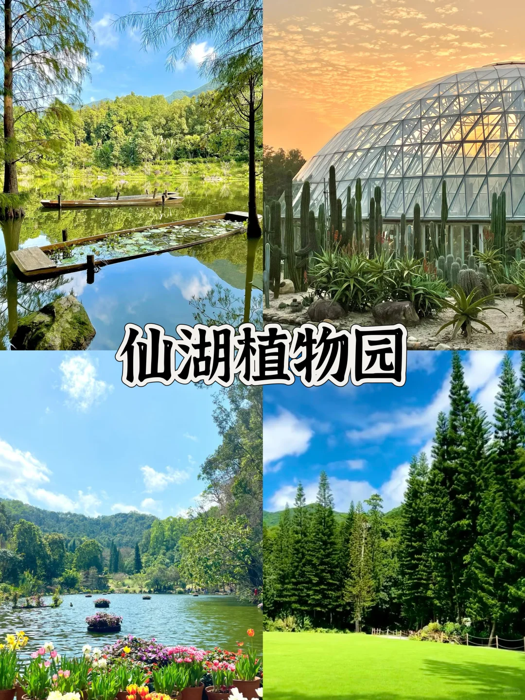 太美了！来深圳一定要去这十大景点打卡