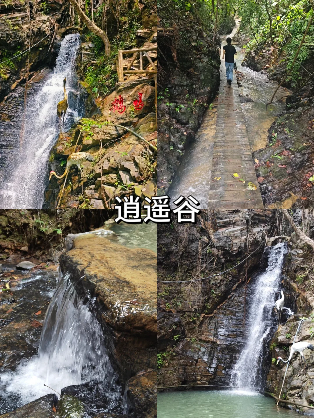 中山超绝十大景点，等你来探！🌟