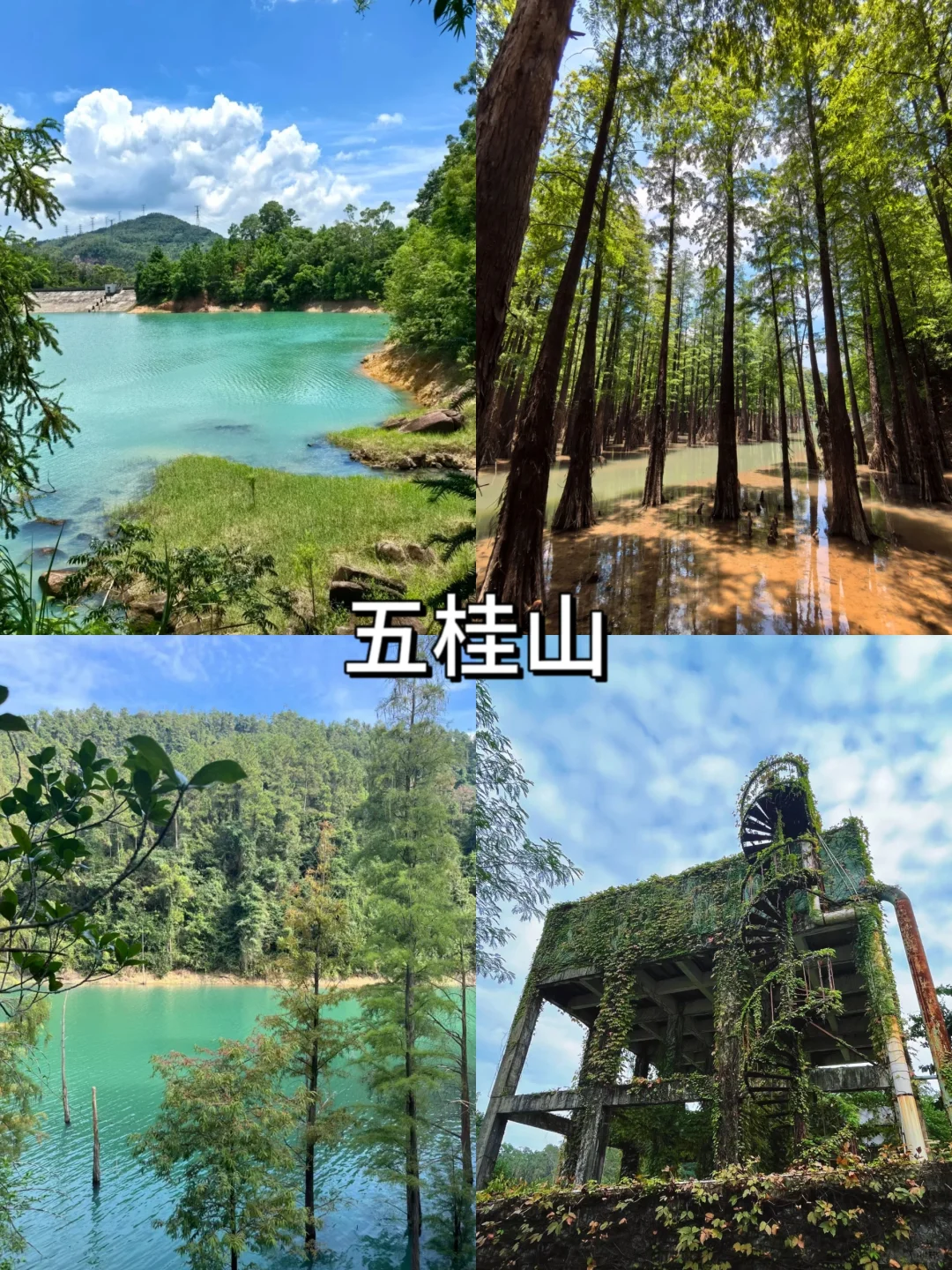中山超绝十大景点，等你来探！🌟