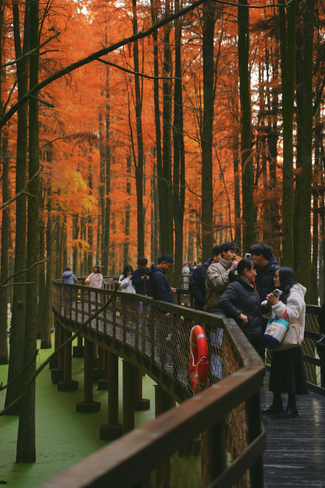 12.14青山湖，感觉全杭州的人都在这里