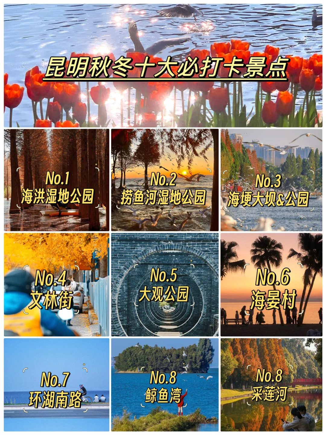 人生建议✨ 秋冬必来美爆的昆明 | 超全攻略