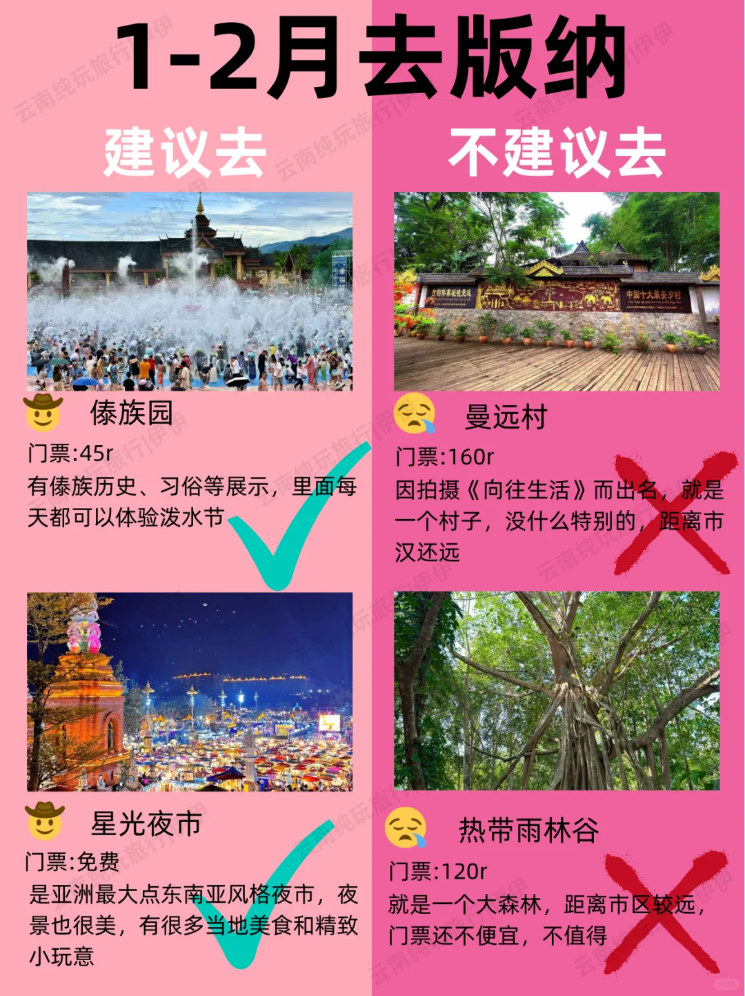 版纳1-2月景点红黑榜📍建议去🆚不建议