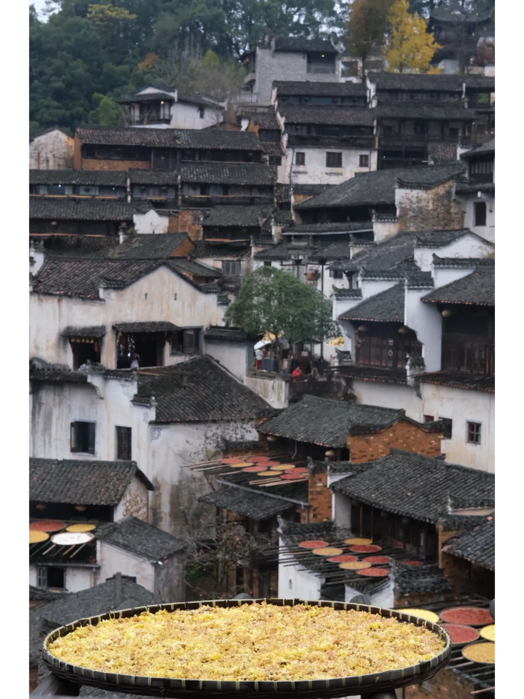 超详细【江西】一周旅游攻略（附预算）