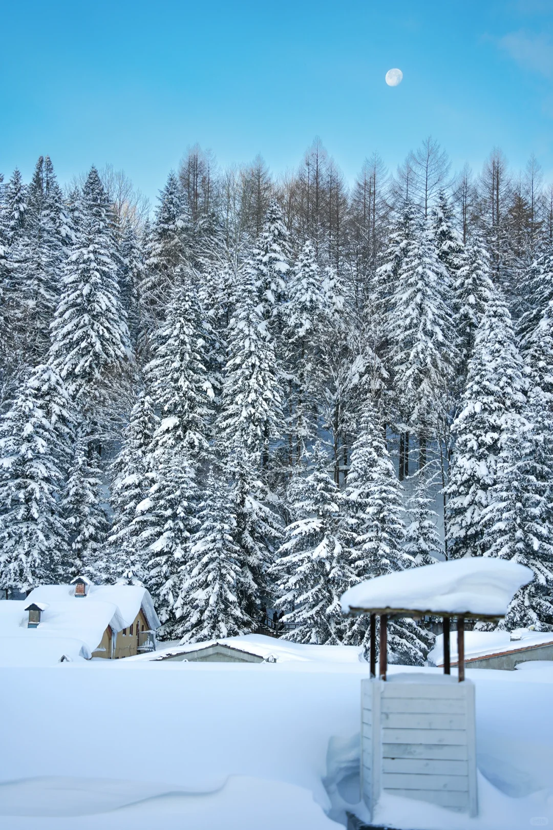误闯童话世界❄️冬天的长白山是冬日一份情书