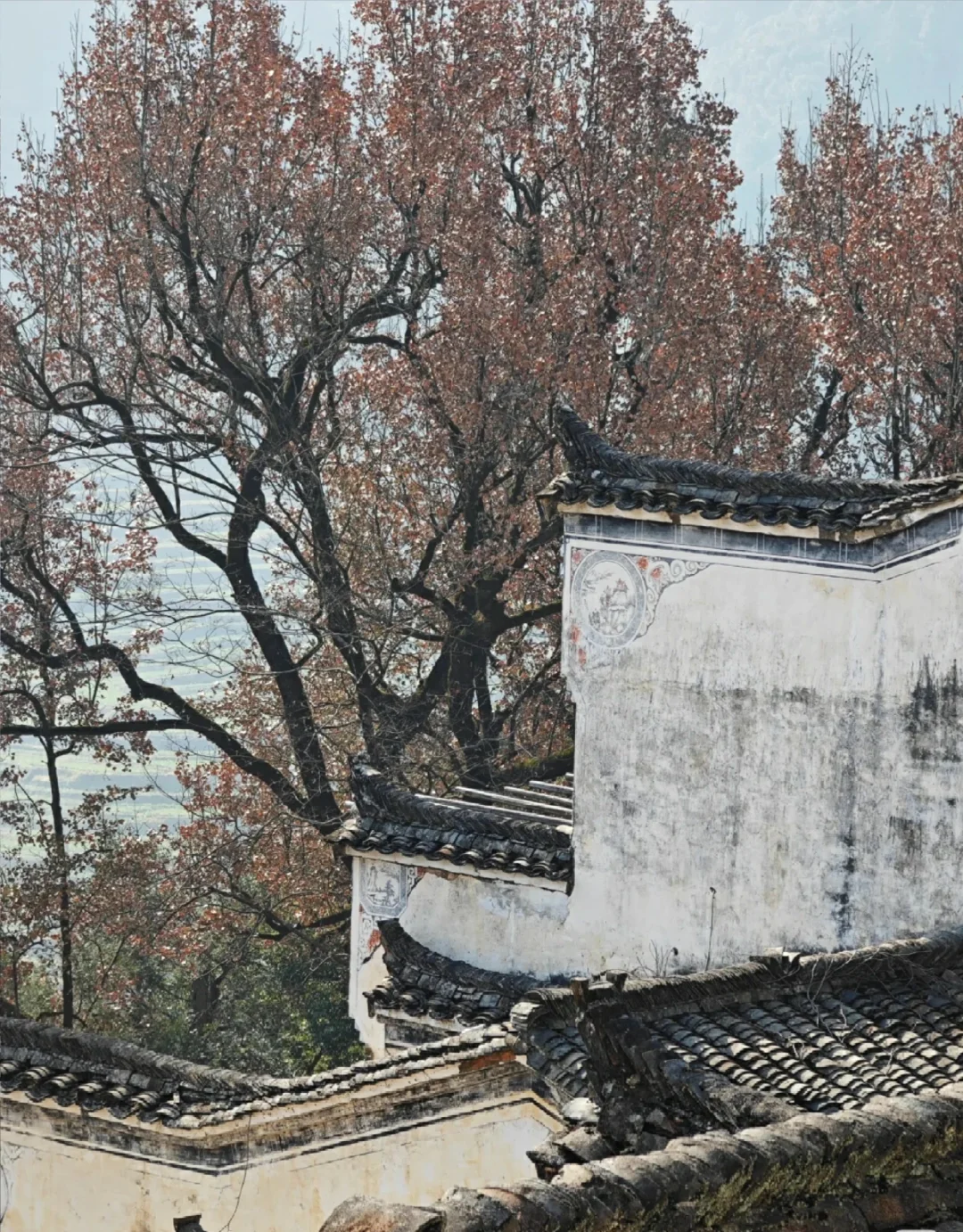 淡季的婺源体验感拉满：半城山水，半城烟火