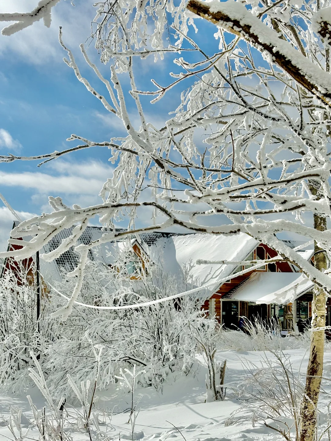 误闯童话世界❄️冬天的长白山是冬日一份情书