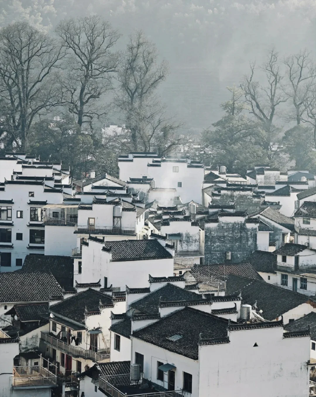 淡季的婺源体验感拉满：半城山水，半城烟火