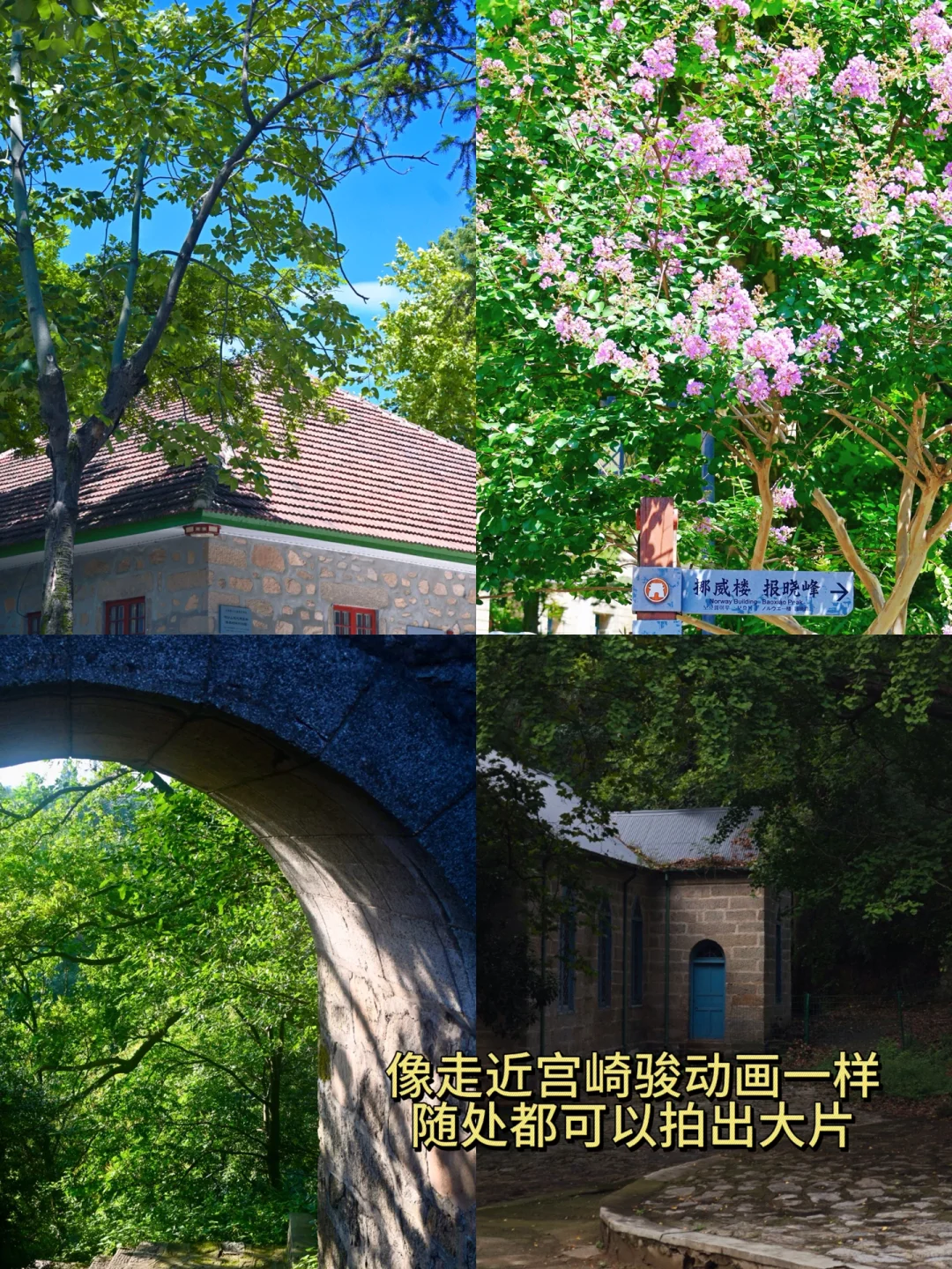 信阳3日游🍃 感受春日的河南版小江南