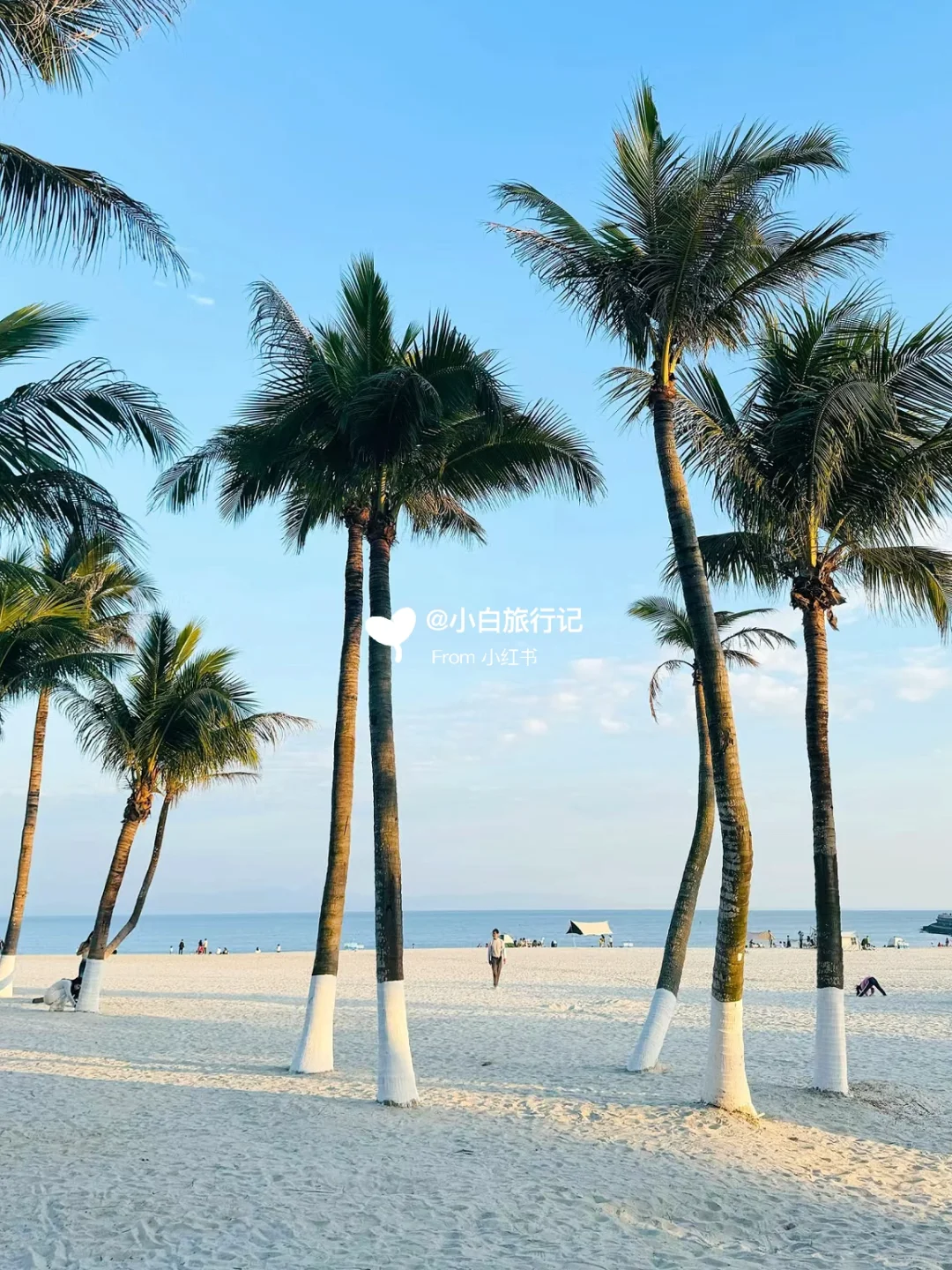 珠海一日游玩攻略｜看完这篇就够了