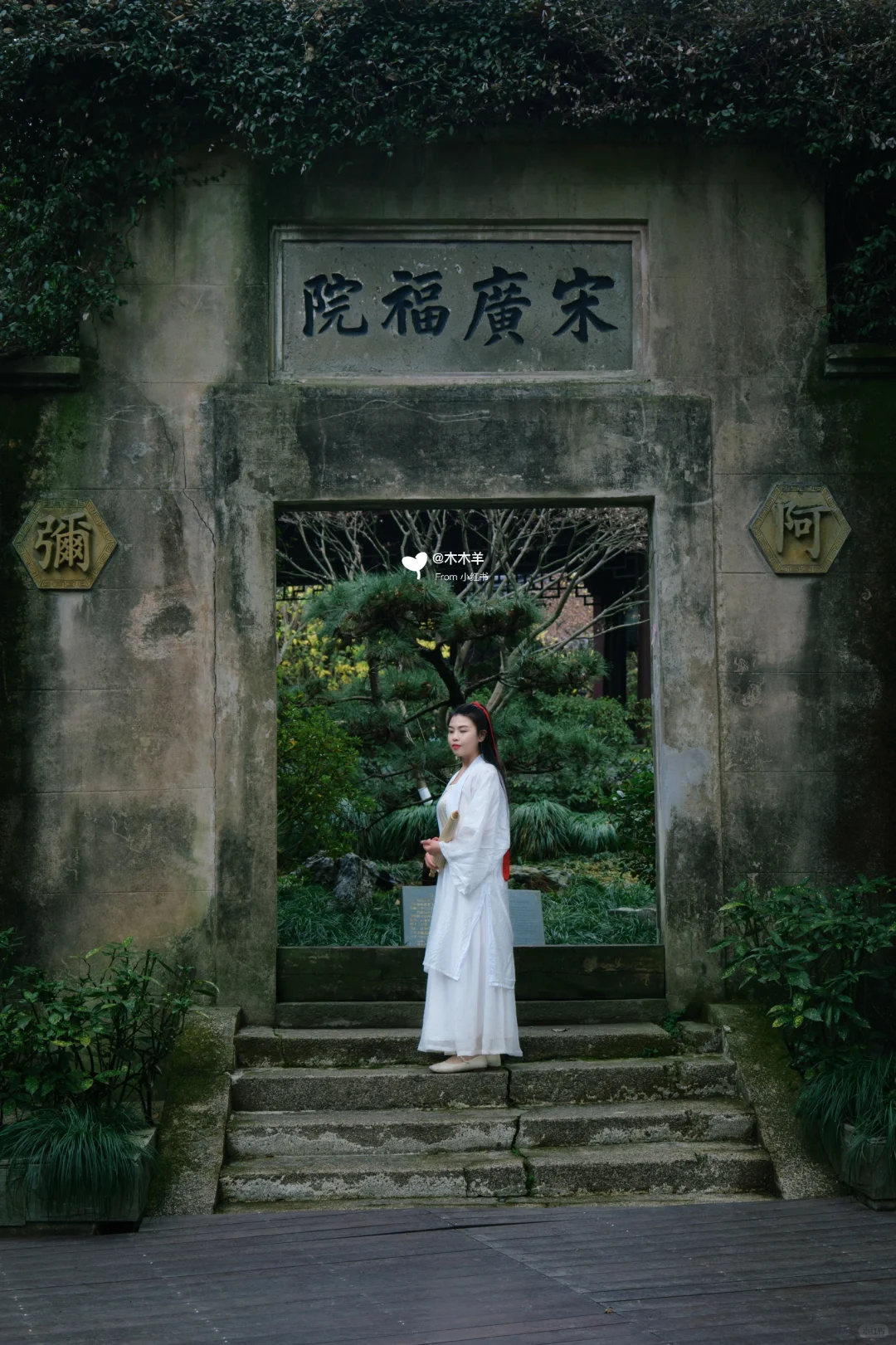 900岁的宋梅｜杭州还有比这棵腊梅更老的吗？