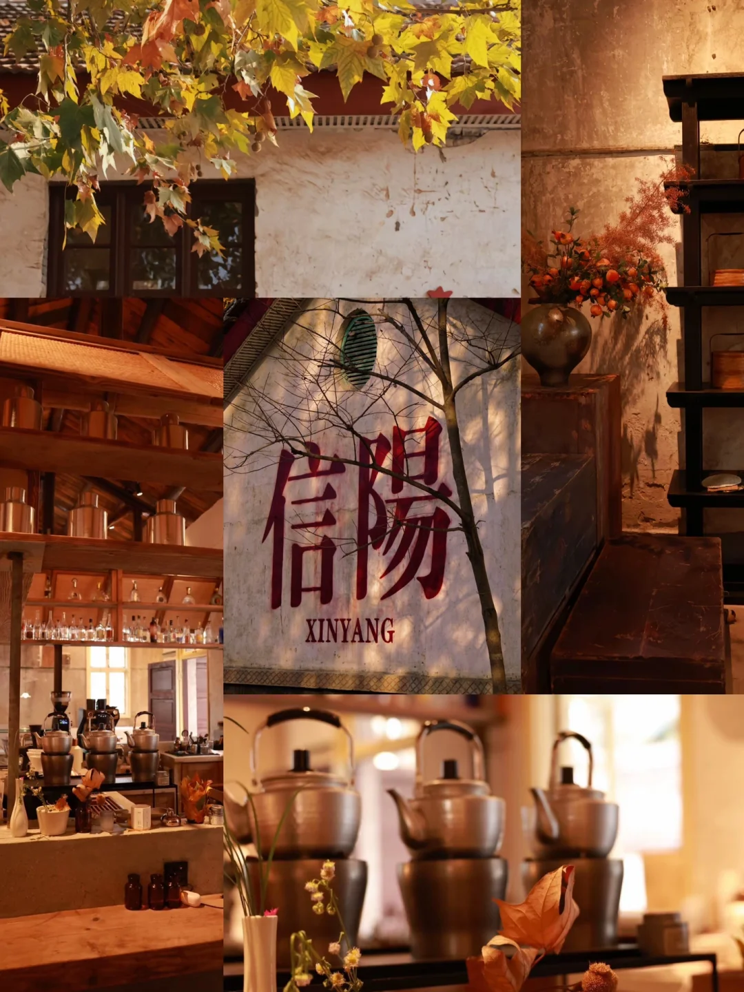 信阳3日游🍃 感受春日的河南版小江南
