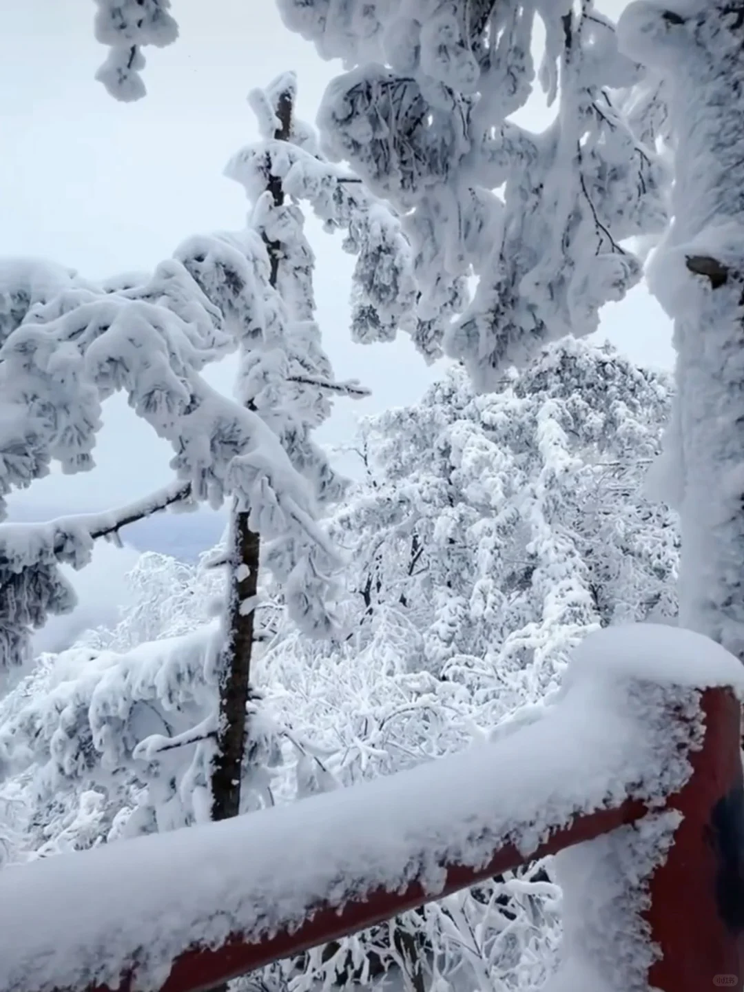 12.12号老君山实况！一上去我傻眼了……