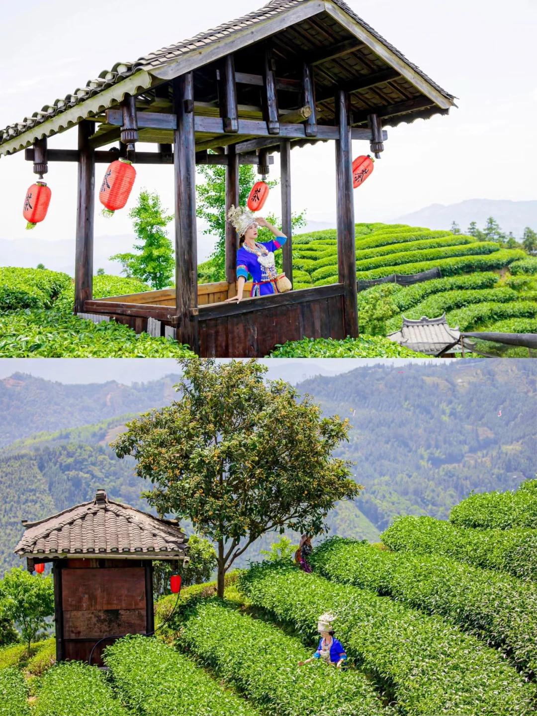 在柳州！！！🌳被严重低估的1️⃣5️⃣个宝藏景点
