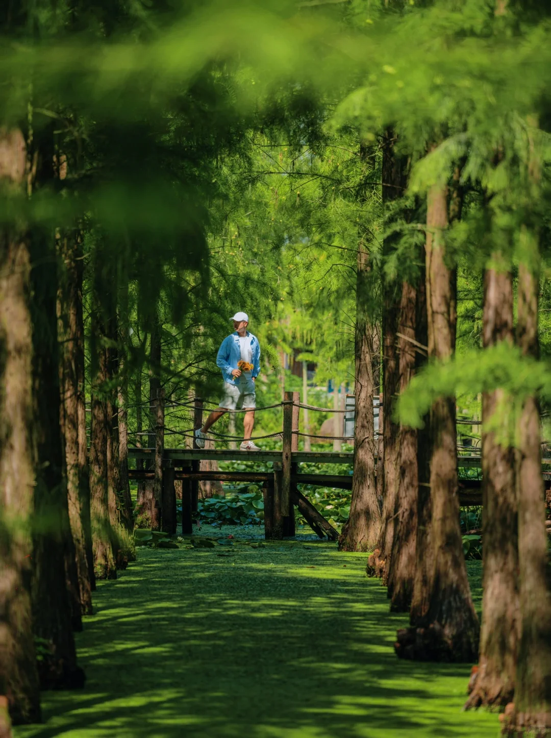 南京被严重低估的绿野仙踪🌲四次上过央视‼️