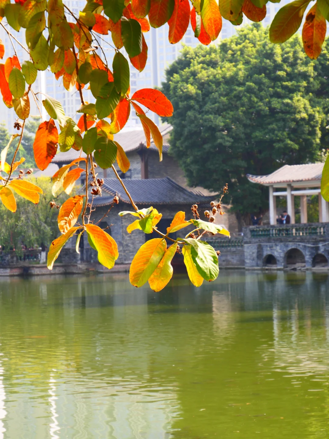“东莞记忆”