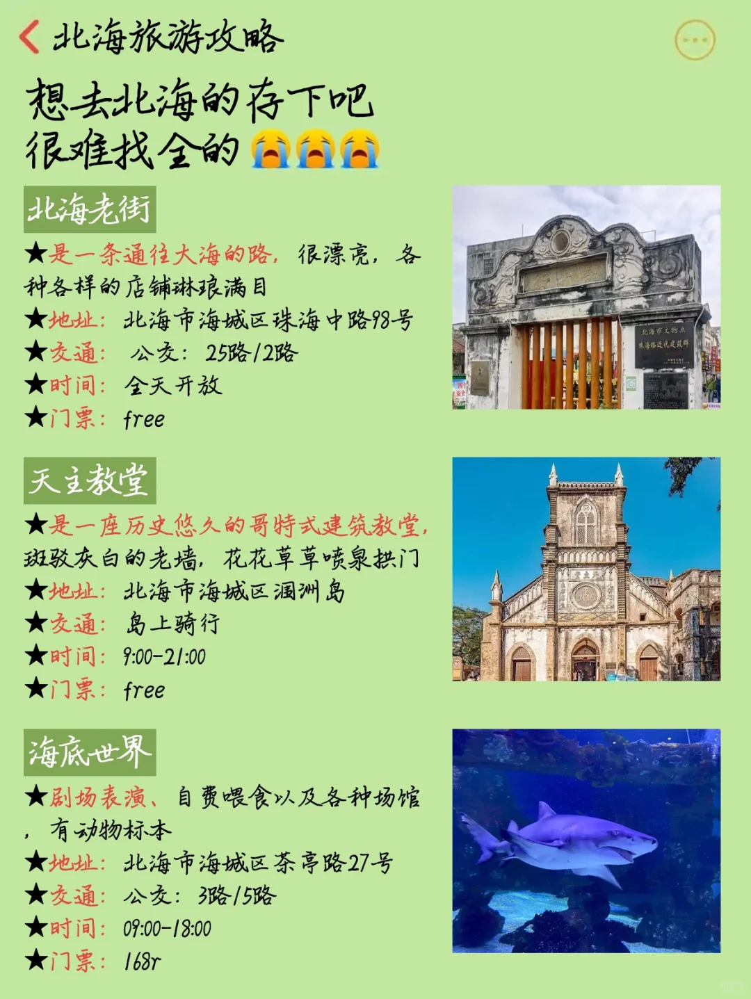 北海旅游攻略，1-2月来北海的姐妹听劝