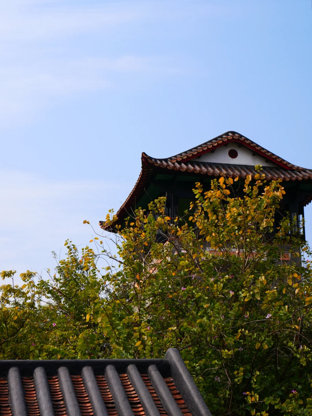 “东莞记忆”