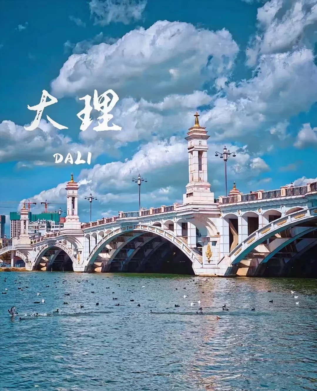大理旅游旺季，包车需要提前预约