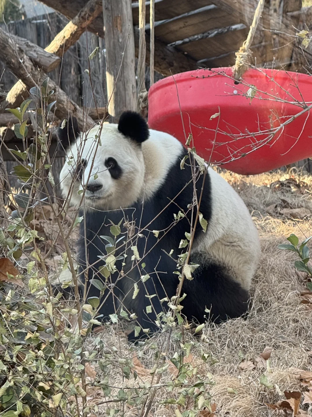 唐山❣️2天1晚不到400，景点免费，攻略绝了‼️