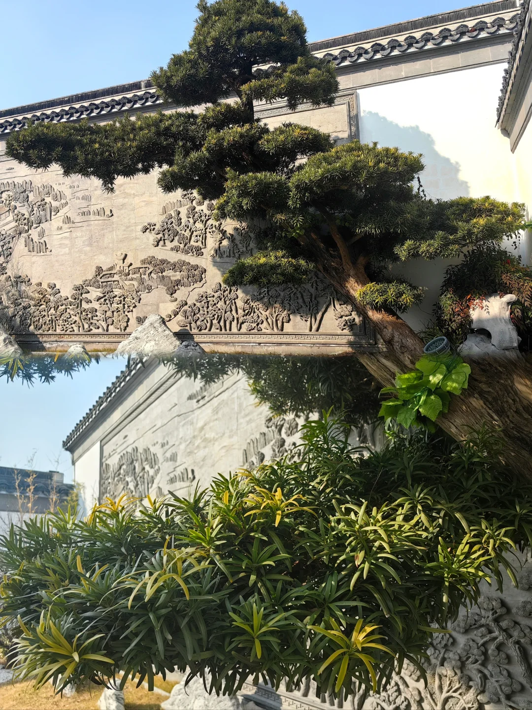 反向旅游｜盐城—盐渎公园