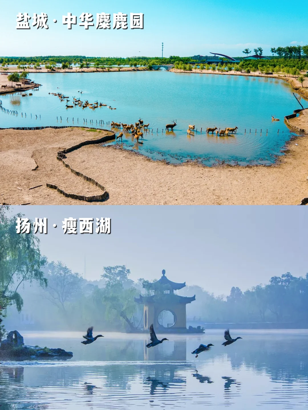 江苏旅游一图读懂，带上旅游搭子寻梦淮扬❗