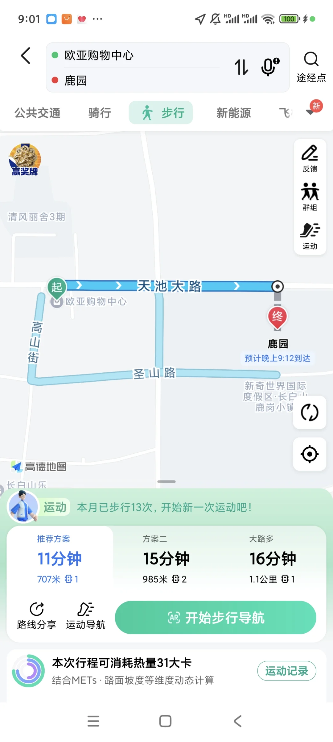长白山西坡也有小鹿🦌