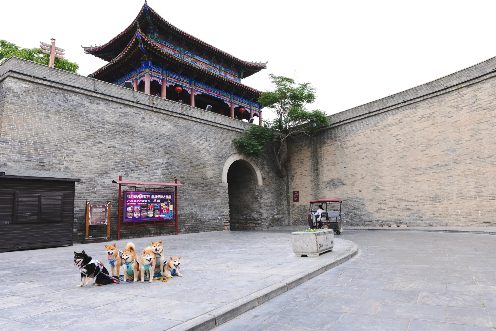高温下的广府古城 | 邯郸