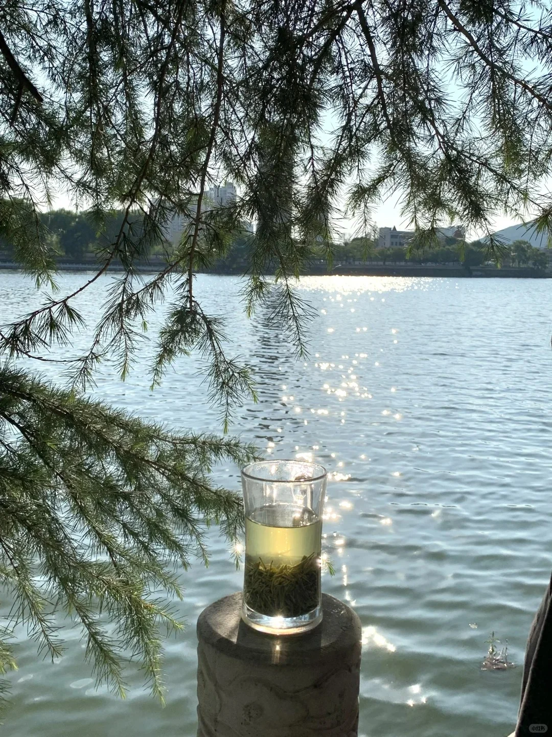 信阳必去9大景点‼️