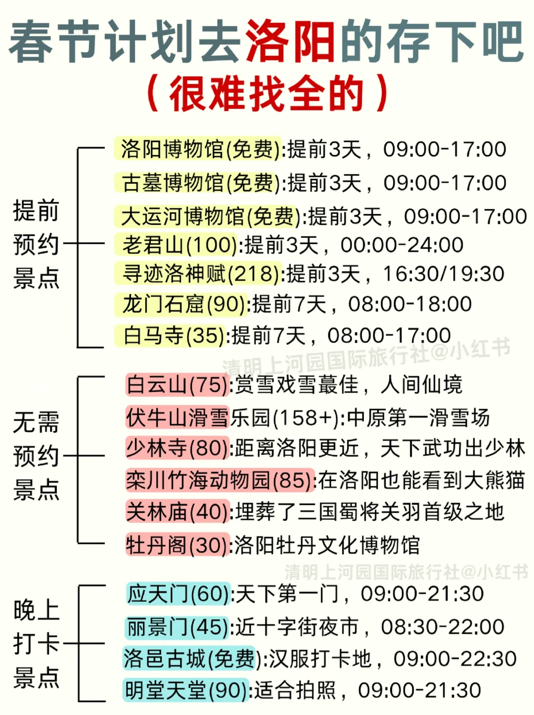 春节去洛阳听劝😭熬夜总结❗保姆级攻略❗