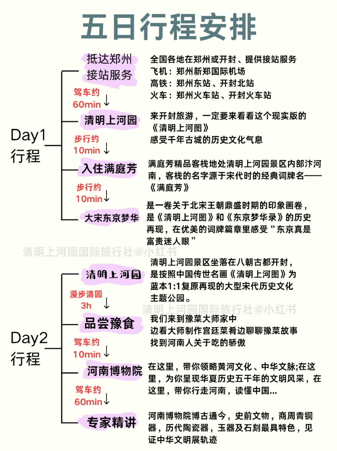 春节去洛阳听劝😭熬夜总结❗保姆级攻略❗