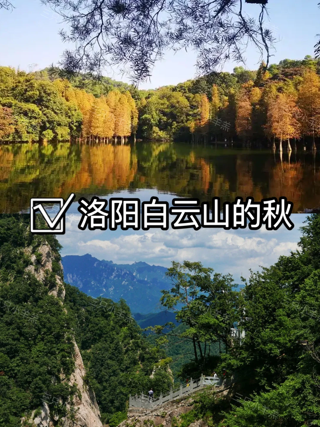 河南旅游｜看这一篇就够了啦｜5A景点汇总