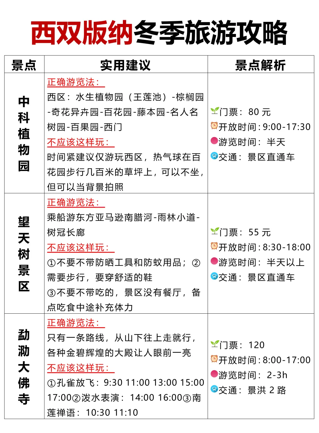 西双版纳冬季旅游攻略❗️还好提前刷到了