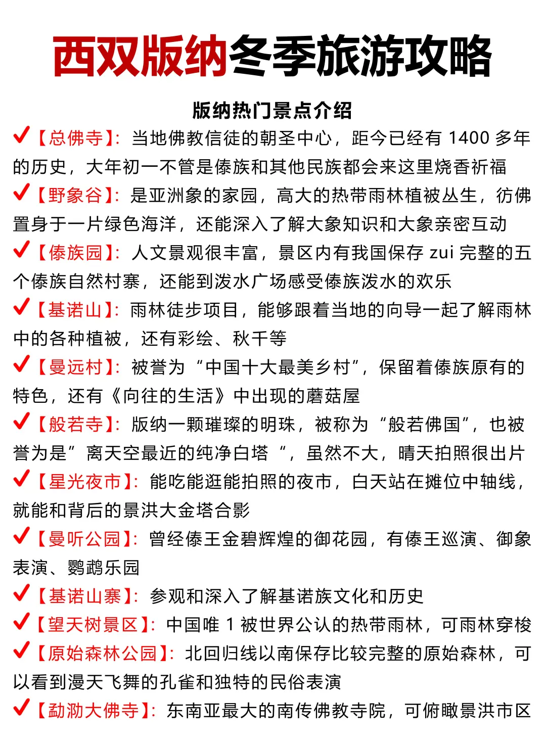 西双版纳冬季旅游攻略❗️还好提前刷到了