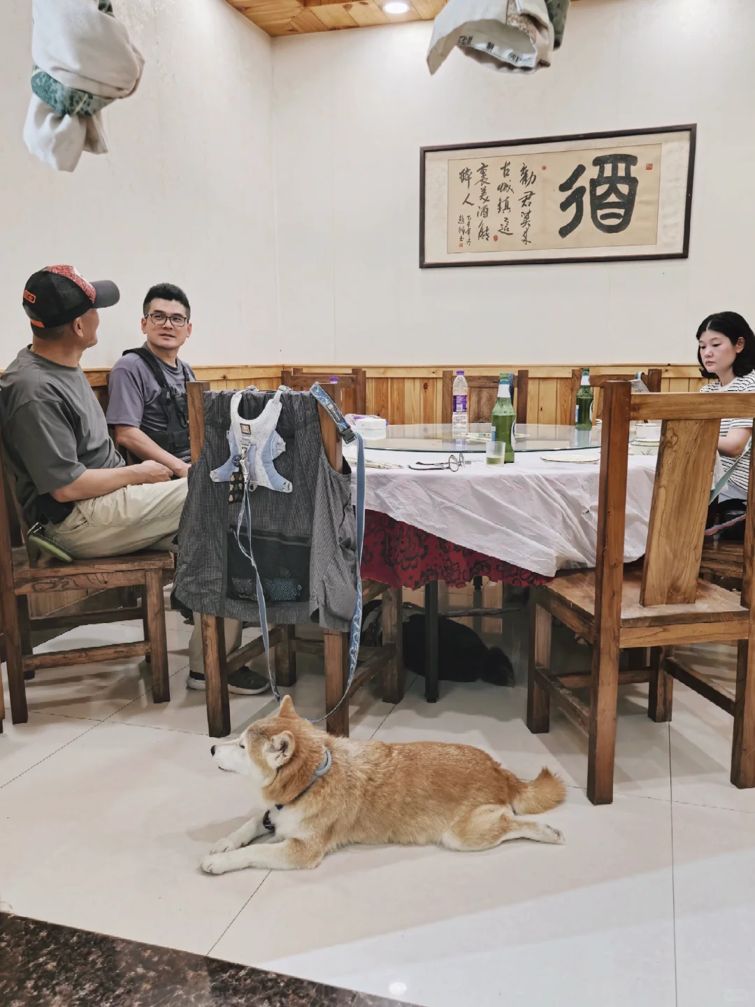 高温下的广府古城 | 邯郸