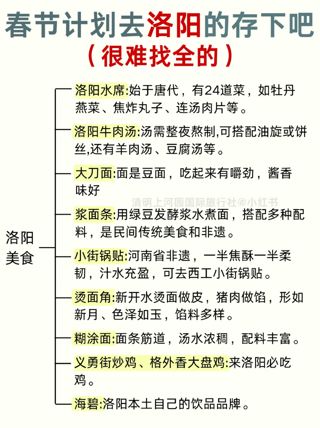 春节去洛阳听劝😭熬夜总结❗保姆级攻略❗