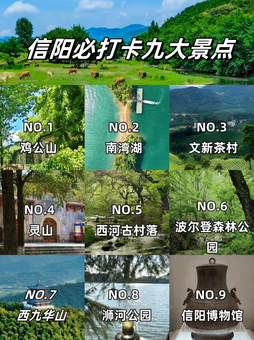 信阳必去9大景点‼️