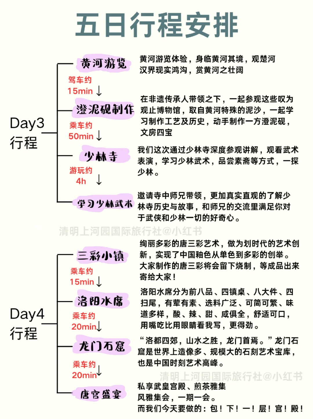 春节去洛阳听劝😭熬夜总结❗保姆级攻略❗