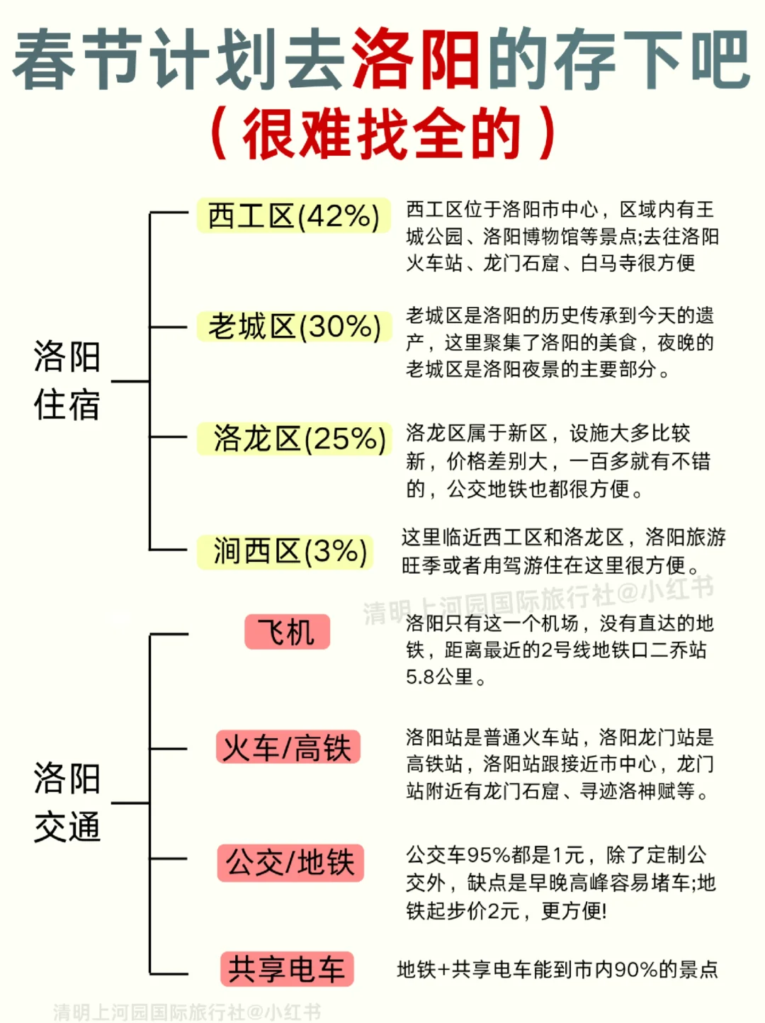 春节去洛阳听劝😭熬夜总结❗保姆级攻略❗