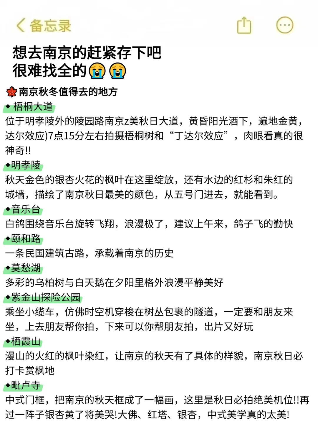 写给1-3月去南京的姐妹👭超全避雷攻略