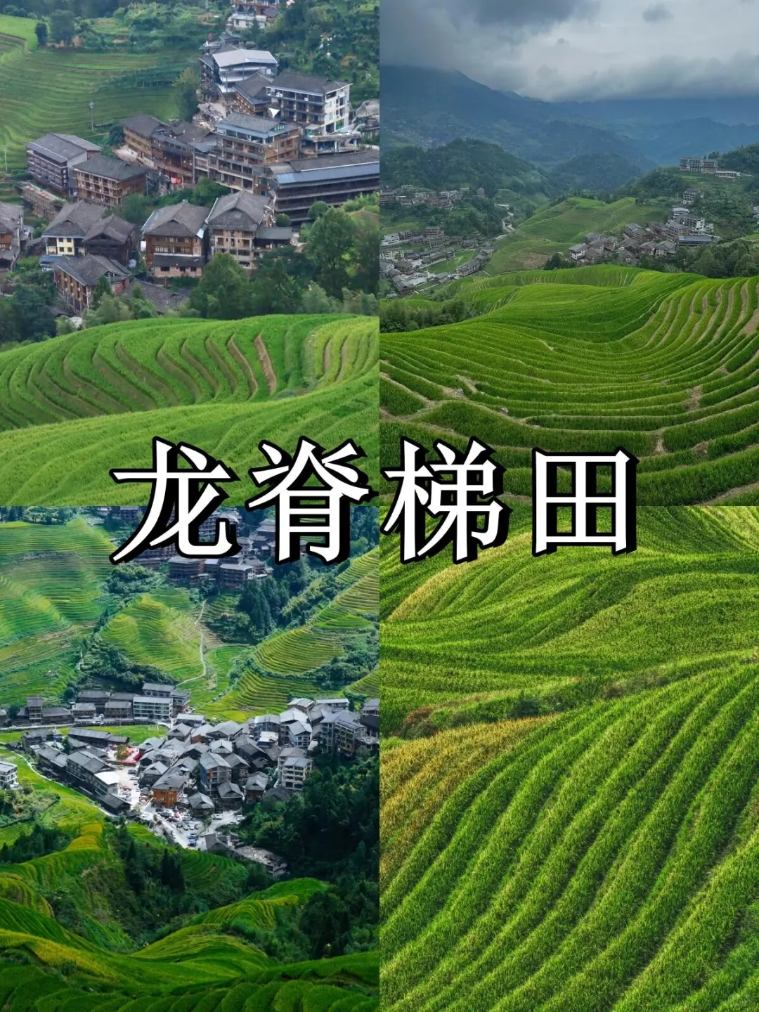 广西十二大城市旅游🔥一图搞懂了