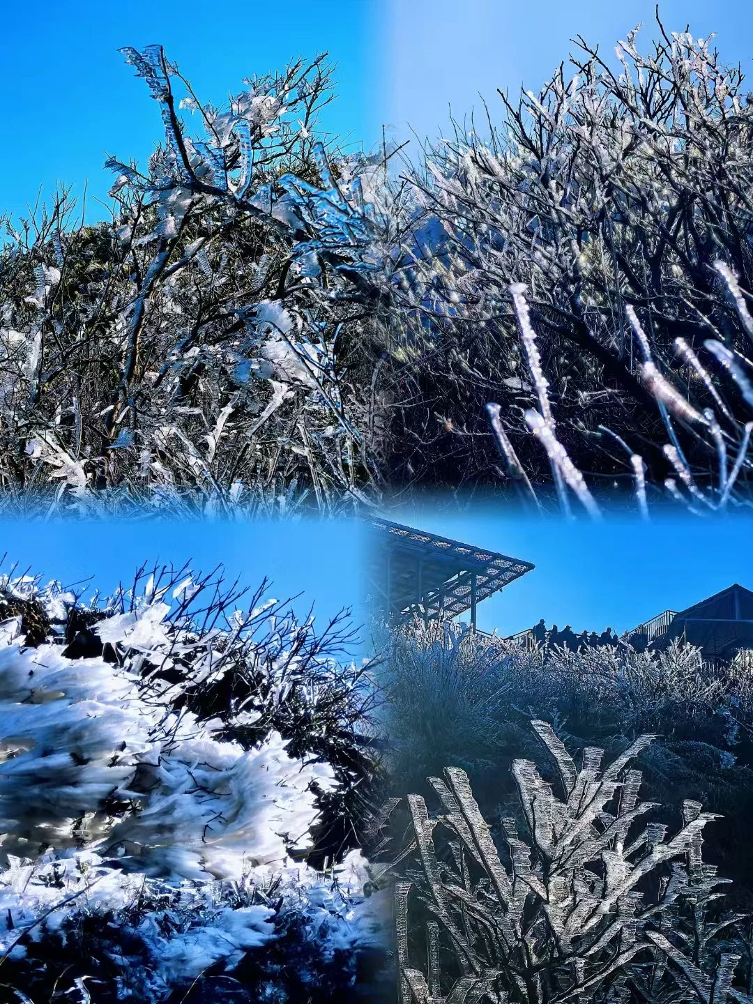 广东看雪，小红书跟风最成功的一次