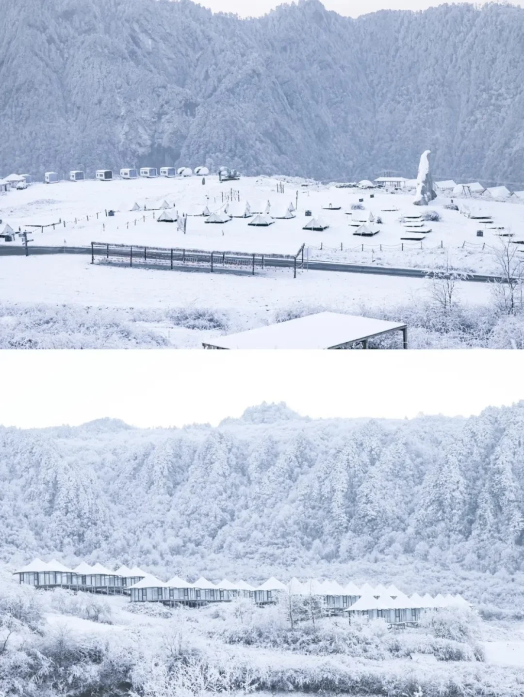 别跑远了❗️成都周边就有的玩雪看雾凇圣地