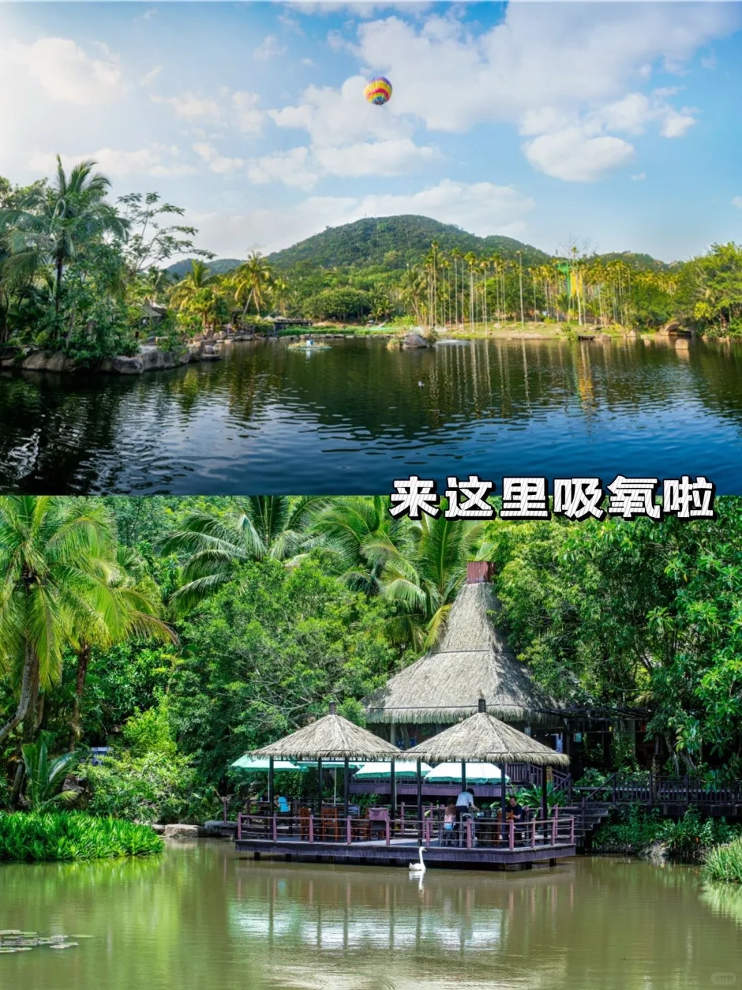 误入三亚呀诺达热带雨林5A景区！！