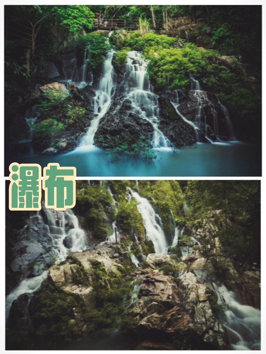 🌴三亚呀诺达热带雨林景区探险全攻略