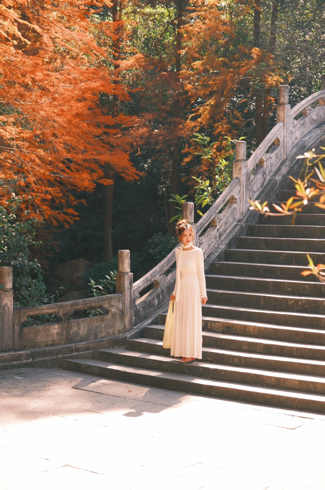 仙湖City walk📍落羽杉已美到最大值（附攻略