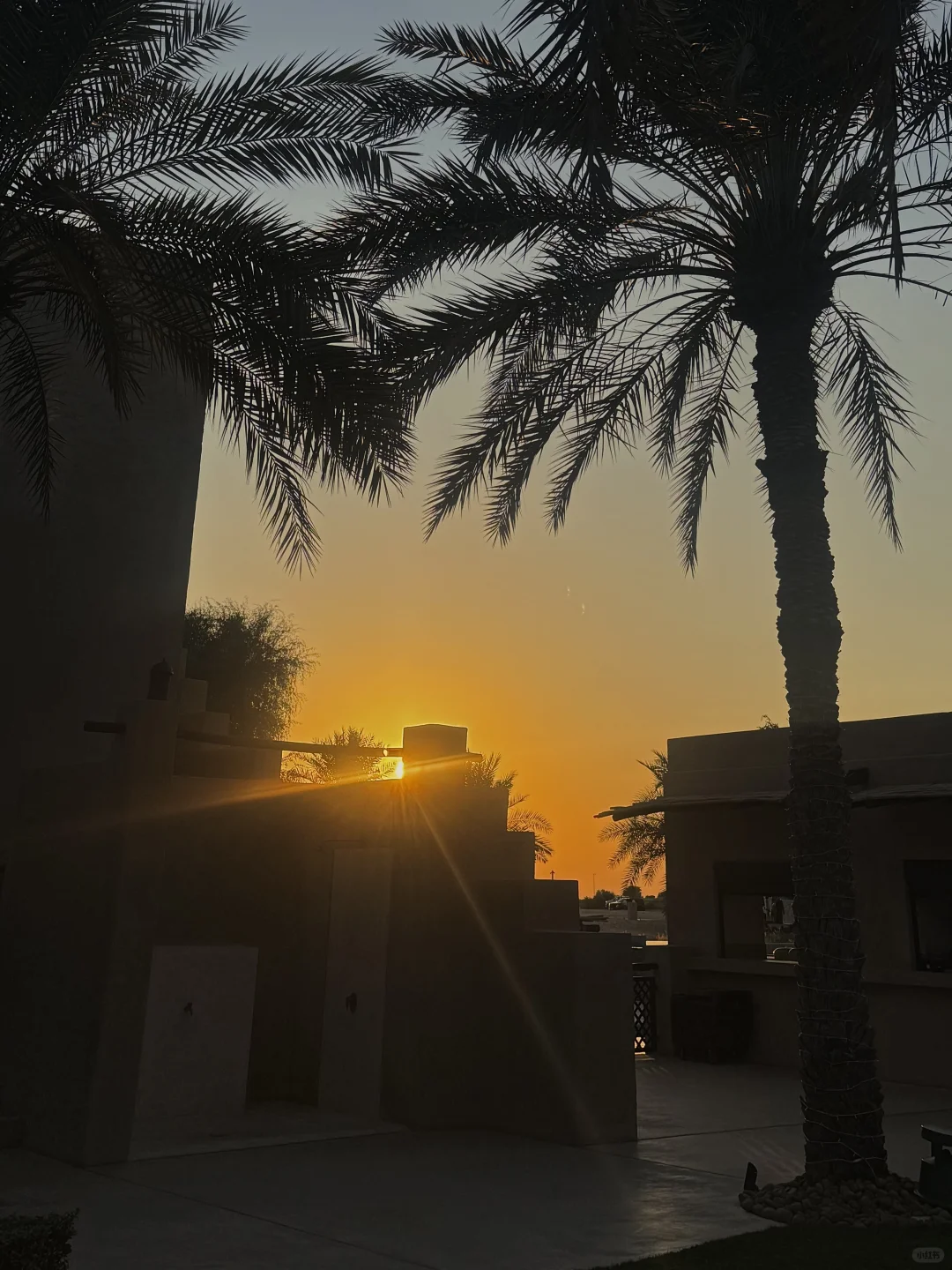 迪拜/阿布扎比沙漠追日落&点篝火🏜️